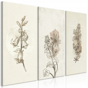 Tablou - Herbarium (3 Parts) - Img 1