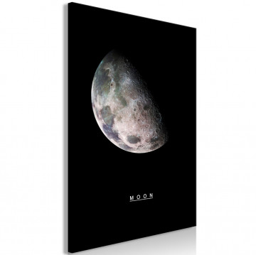 Tablou - Moon (1 Part) Vertical - Img 1
