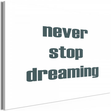 Tablou - Never Stop Dreaming (1 Part) Wide - Img 1