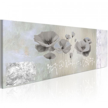 Tablou - Poppies in hibernation - Img 1