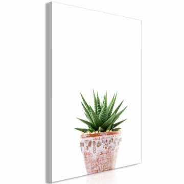 Tablou - Succulents In Pot (1 Part) Vertical - Img 1