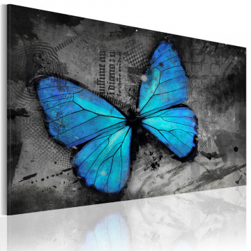 Tablou - The study of butterfly - Img 1