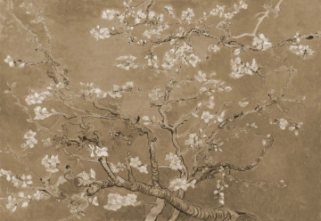 Van Gogh Blossoms in Sepia - Img 7