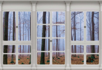 3D Door View Misty Forest Photo Wallpaper Wall Mural - Img 3