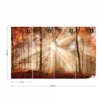Autumn Trees Forest Sunshine Photo Wallpaper Wall Mural - Img 13