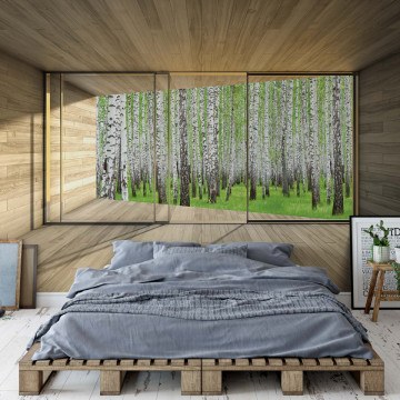 Birch Forest 3D Modern Window View Photo Wallpaper Wall Mural - Img 14