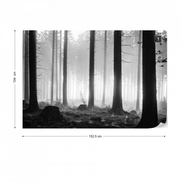 Black And White Atmospheric Forest Photo Wallpaper Wall Mural - Img 10