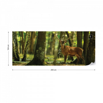 Deer In The Forest Nature Photo Wallpaper Wall Mural - Img 11