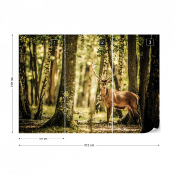 Deer In The Forest Nature Photo Wallpaper Wall Mural - Img 13