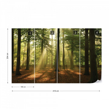 Enchanted Forest Photo Wallpaper Wall Mural - Img 14