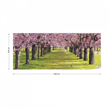 Flowering Trees Photo Wallpaper Wall Mural - Img 9