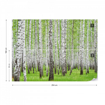 Forest Birch Trees Woods Photo Wallpaper Wall Mural - Img 8