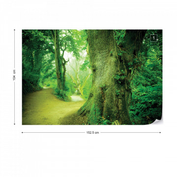 Forest Nature Trees Photo Wallpaper Wall Mural - Img 10