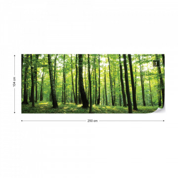 Forest Trees Green Nature Photo Wallpaper Wall Mural - Img 11