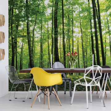 Forest Trees Green Nature Photo Wallpaper Wall Mural - Img 2