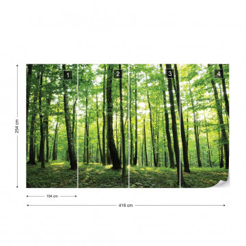 Forest Trees Green Nature Photo Wallpaper Wall Mural - Img 4
