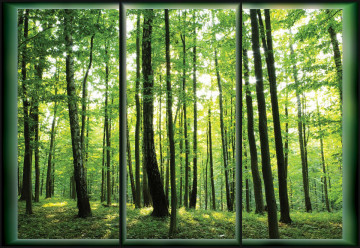 Forest Trees Green Window View Photo Wallpaper Wall Mural - Img 6