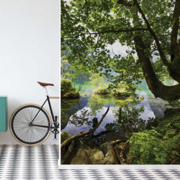 Forest Trees Lake Photo Wallpaper Wall Mural - Img 20