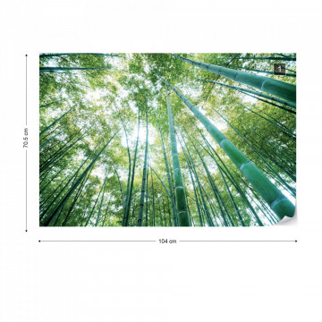 Forest Woods Photo Wallpaper Wall Mural - Img 1
