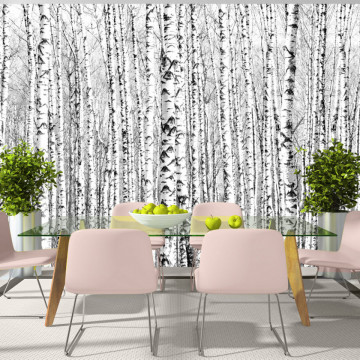 Fototapet - Birch forest - Img 1