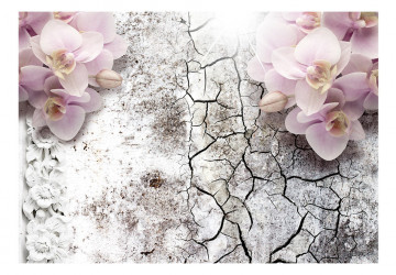 Fototapet - Bright red orchids - Img 2
