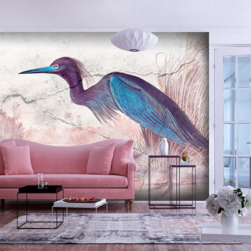 Fototapet - Cioară albastră - gravură cu pasăre de John James Audubon - Img 1
