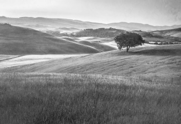 Fototapet - Dealuri Înverzite – Aspect Vintage, Alb-Negru - Img 7