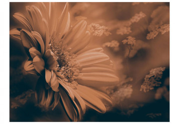 Fototapet - Gerbera in bronze - Img 4