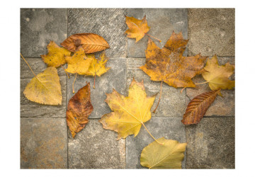 Fototapet - Harbinger of autumn - Img 2