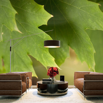 Fototapet - Leaves - Img 1