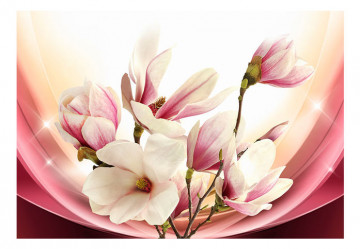 Fototapet -  Magnolia In Rays - Img 4