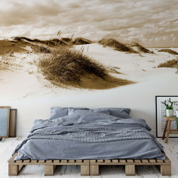 Fototapet - Peisaj cu Dune de Nisip – Sepia - Img 2