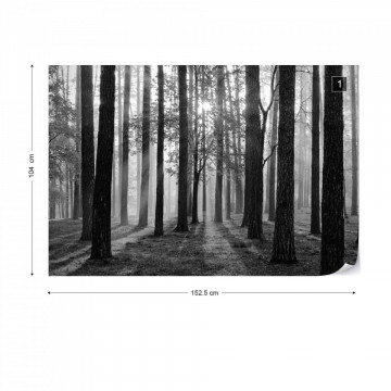 Fototapet - Răsărit de Soare în Pădure – Alb-Negru - Img 13