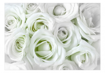 Fototapet - Satin Rose (Green) - Img 2
