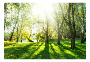 Fototapet - Sunny May Day - Img 2