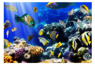 Fototapet - Underwater adventure - Img 2
