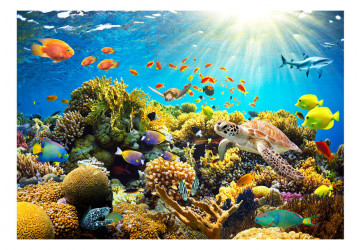 Fototapet - Underwater Land - Img 6