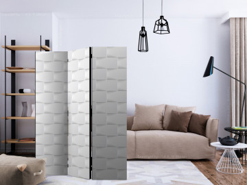Paravan - Abstract Screen [Room Dividers] - Img 2