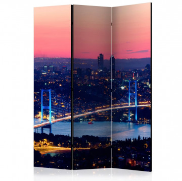 Paravan - Bosphorus Bridge [Room Dividers] - Img 1