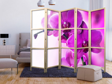 Paravan japonez - Violet Orchids II - Img 2