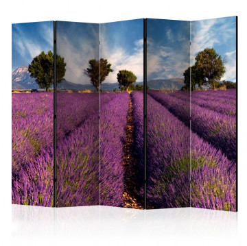 Paravan - Lavender field in Provence, France II [Room Dividers] - Img 1