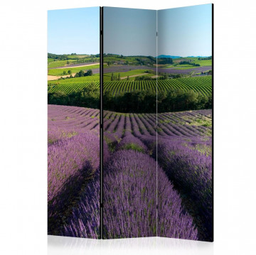 Paravan - Lavender fields [Room Dividers] - Img 1