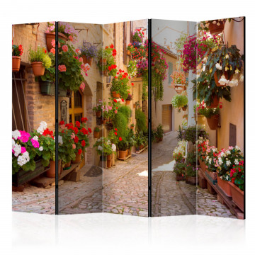Paravan - The Alley in Spello (Italy) II [Room Dividers] - Img 1