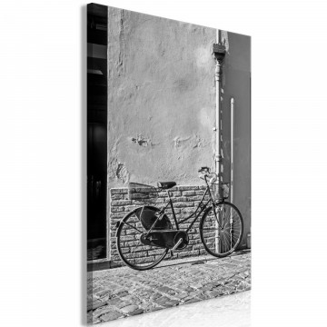 Tablou - Old Italian Bicycle (1 Part) Vertical - Img 1