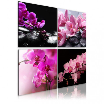 Tablou - Orchids more beautiful than ever - Img 1