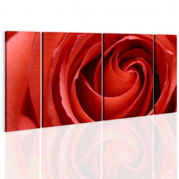 Tablou - Passionate rose - Img 1