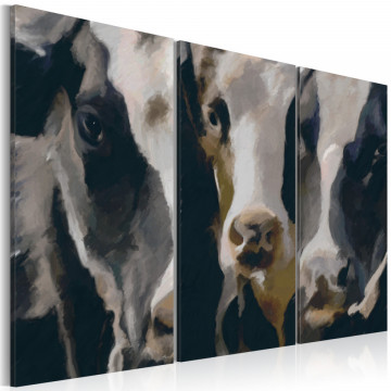 Tablou - Piebald cow - Img 1