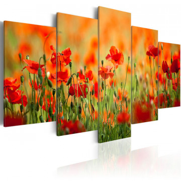 Tablou - Poppies in vivid colors - Img 1
