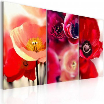 Tablou - Poppies - three perspectives - Img 1