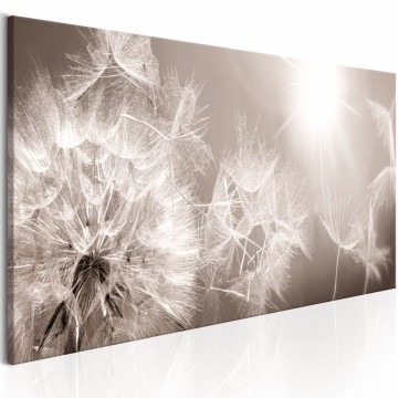 Tablou - Summer Dandelions - Img 1